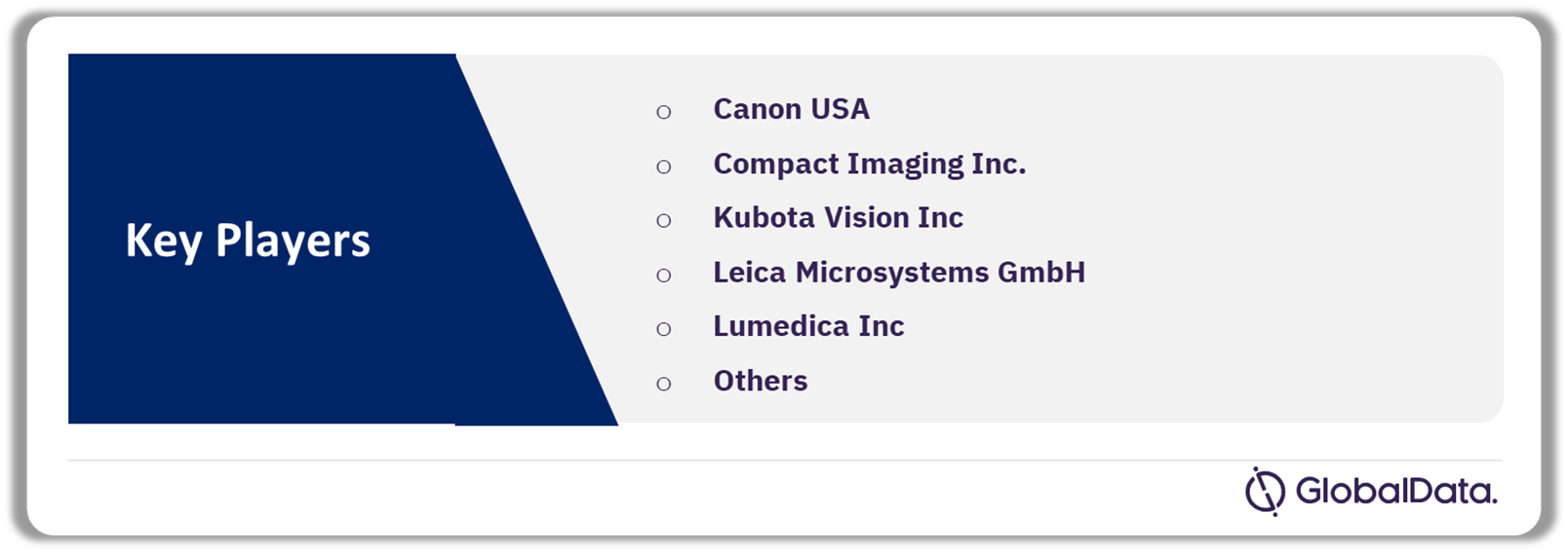 Optical Coherence Tomography Pipeline Market Analysis by Companies, 2024
