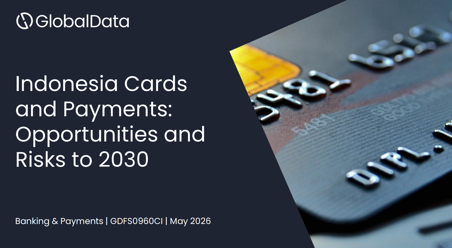 Indonesia Cards and Payments: Opportunities and Risks to 2030 standard reports