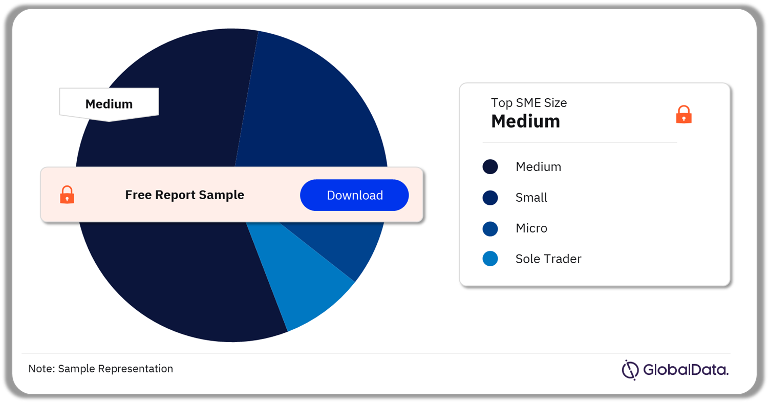 UK SME Insurance Market Analysis by SME Size, 2023 (%)