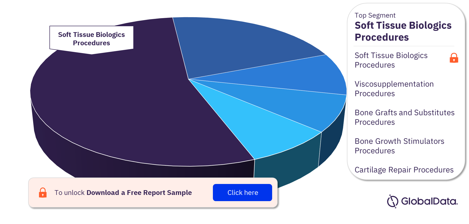 Mexico Orthobiologic Procedures Market Analysis by Segments, 2022 (%)