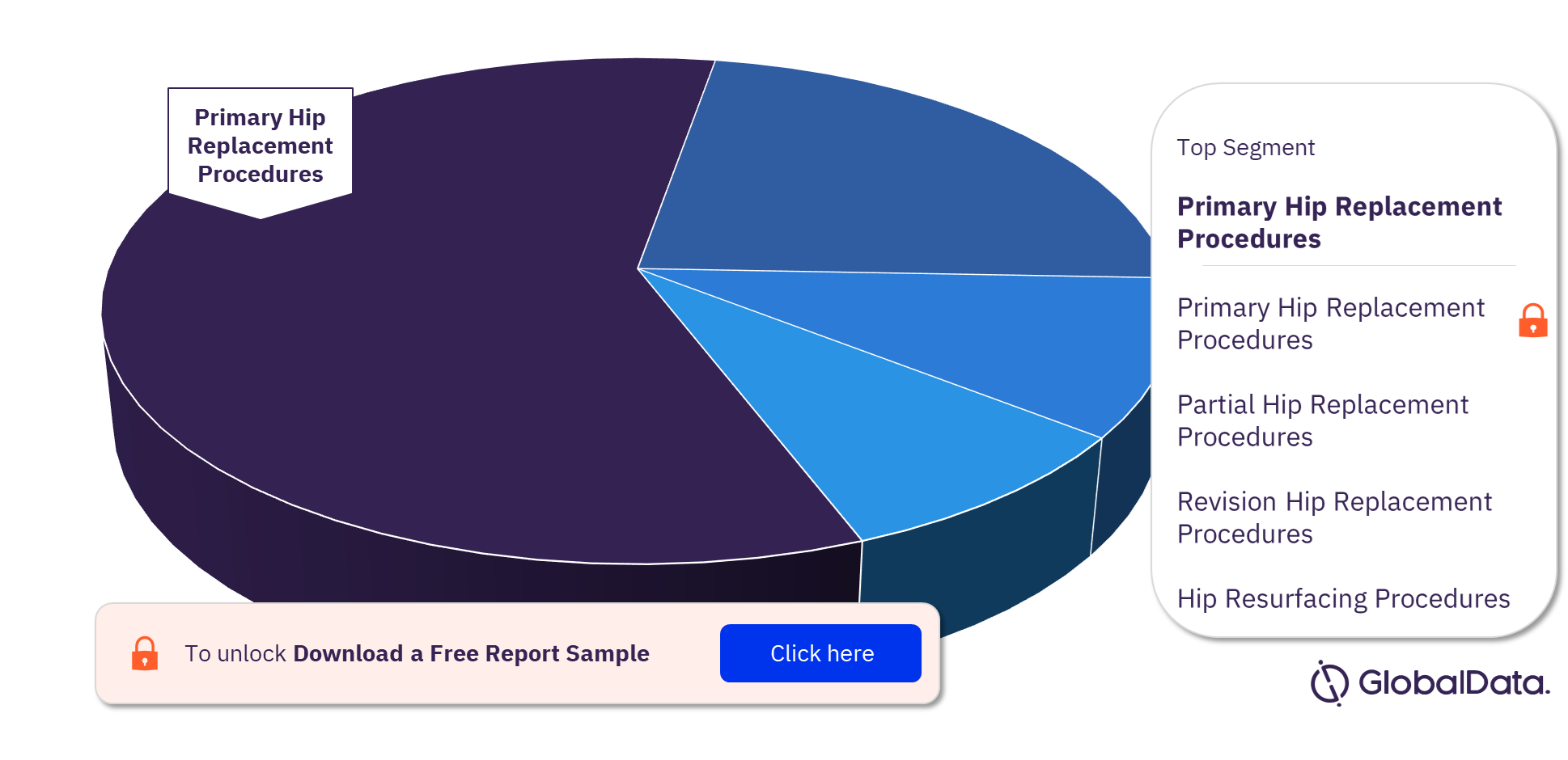 North America Hip Replacement Procedures Market Analysis by Segments, 2022 (%)