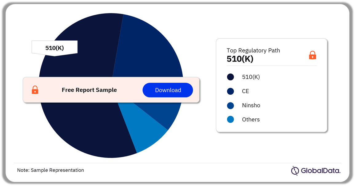 Airway Management Pipeline Market Analysis by Regulatory Paths, 2024 (%)