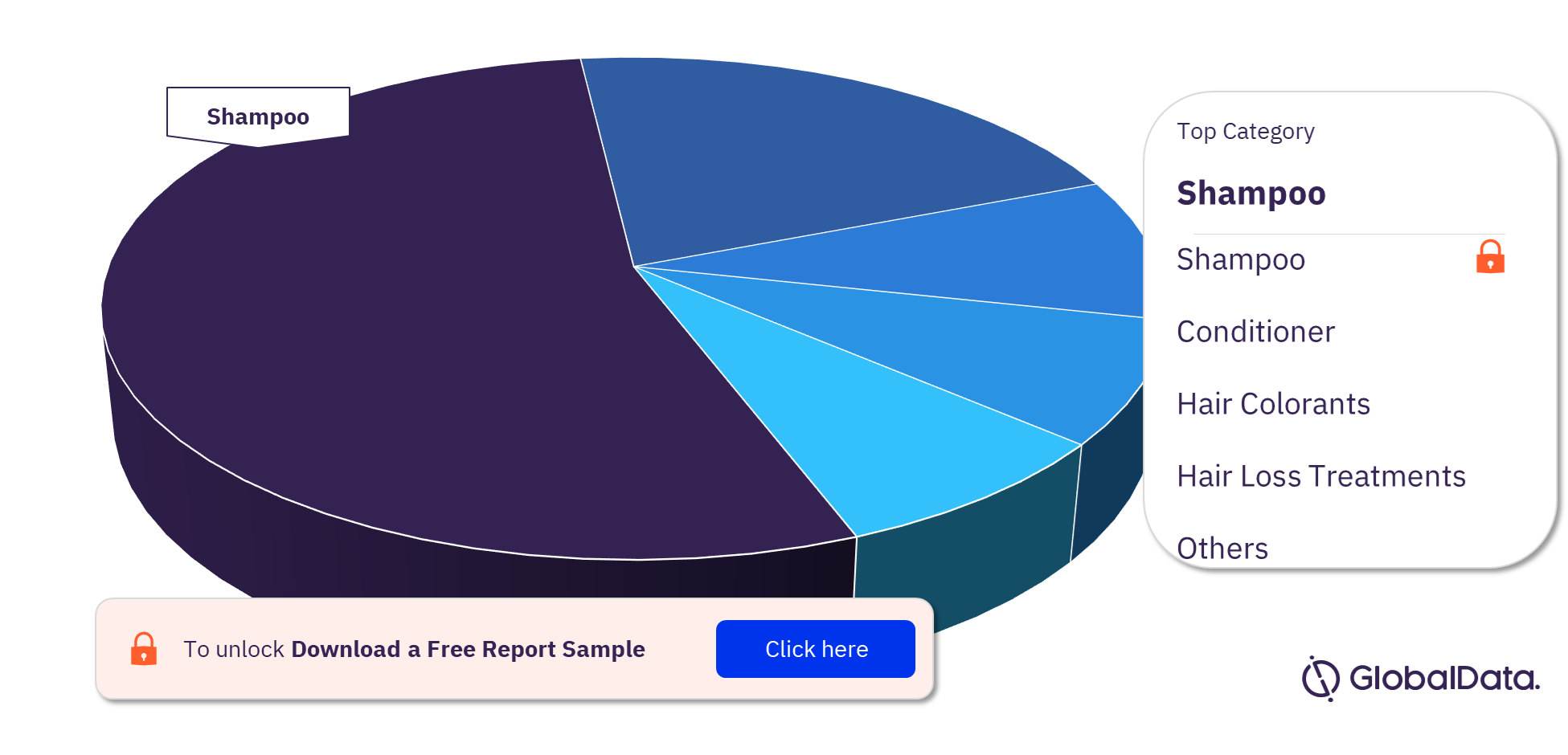 China Haircare Market Analysis by Categories, 2021 (%)