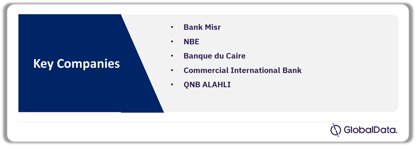 Egypt Cards and Payments Market Analysis by Players, 2024