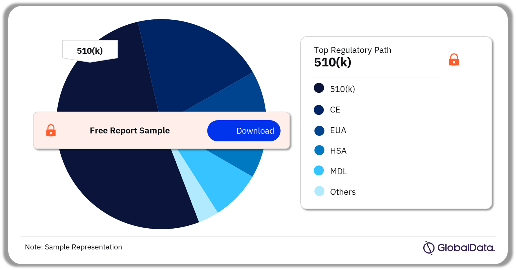 Endotracheal Tubes Pipeline Market Analysis by Regulatory Paths, 2024 (%)