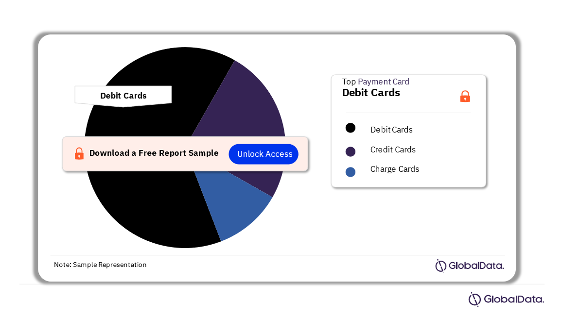 Payment Cards Analysis by Segments, 2023 (%)
