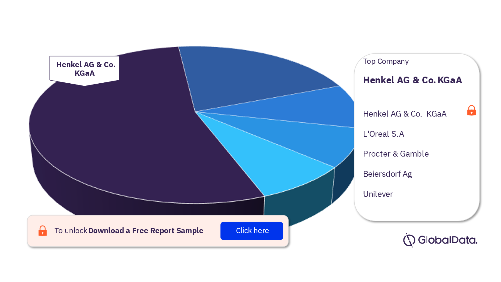 Germany Haircare Market Analysis by Companies, 2021 (%)