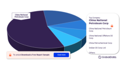 Oil and Gas Pipelines Length Analysis by Companies, 2023-2027 (%)