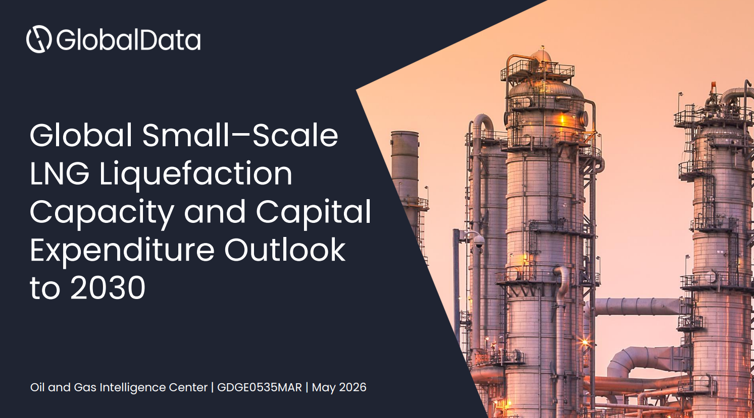Global Small-Scale LNG Liquefaction Capacity and Capital Expenditure Outlook to 2030 standard reports