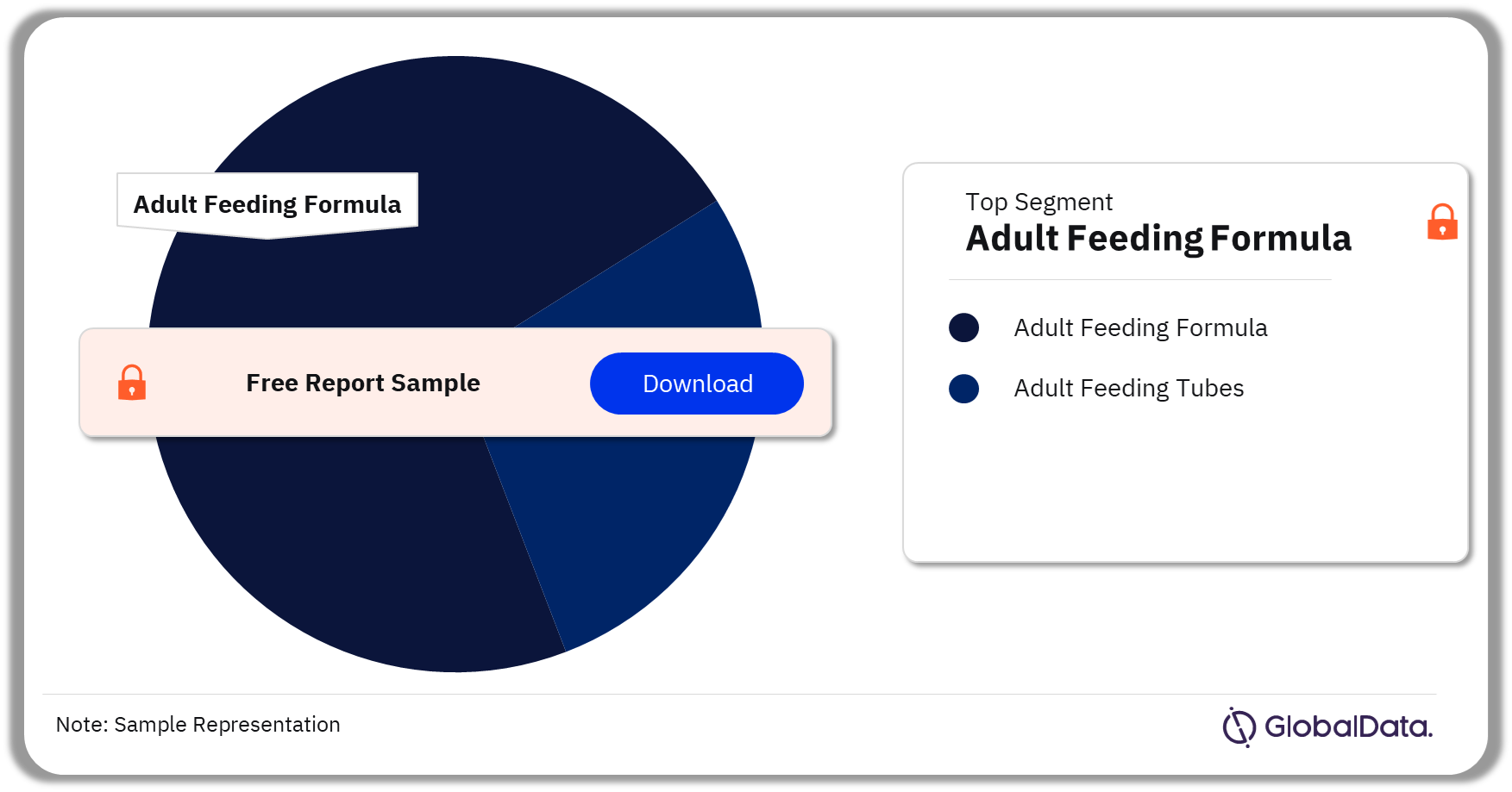 Adult Feeding Tubes and Formula Market Analysis by Segments, 2023 (%)
