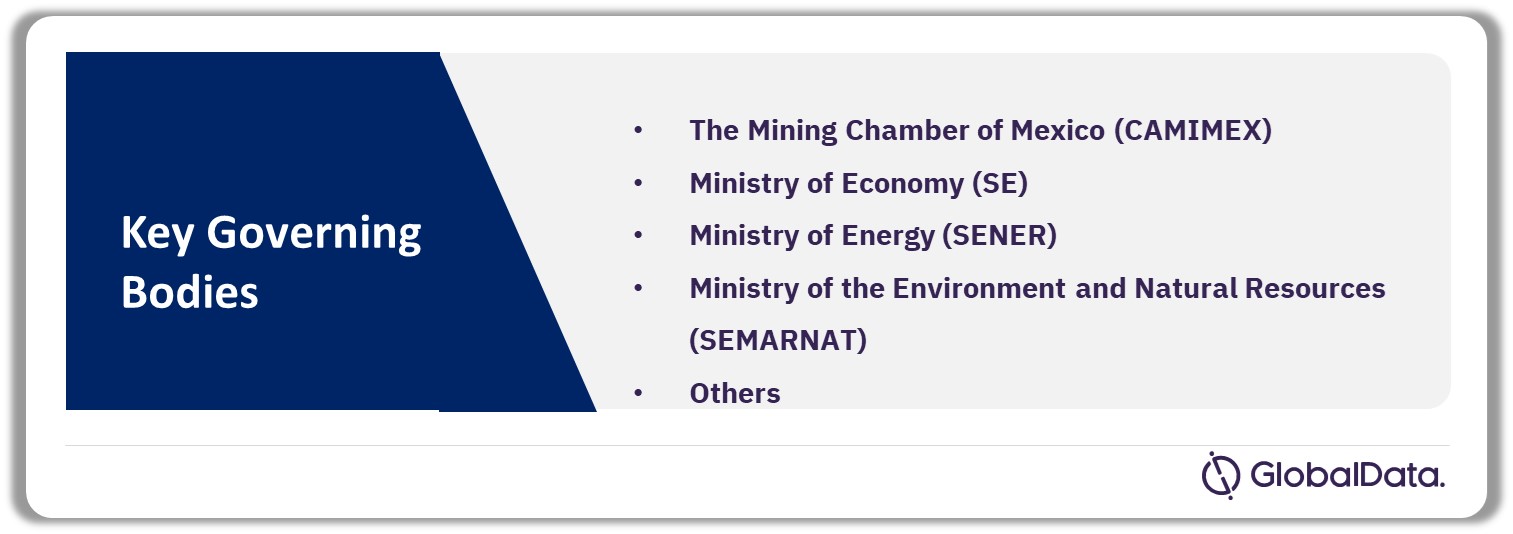 Governing Bodies in the Mexico Mining Industry
