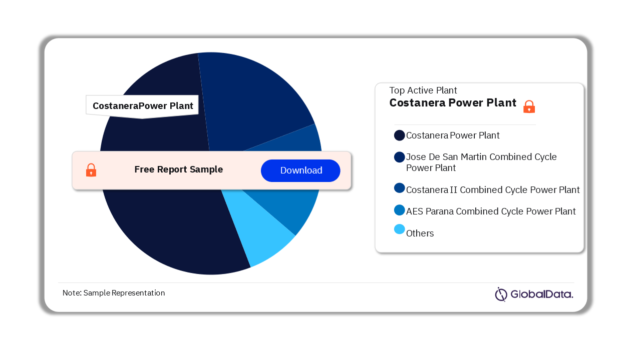 Argentina Thermal Power Market Analysis by Active Plants, 2023 (%)