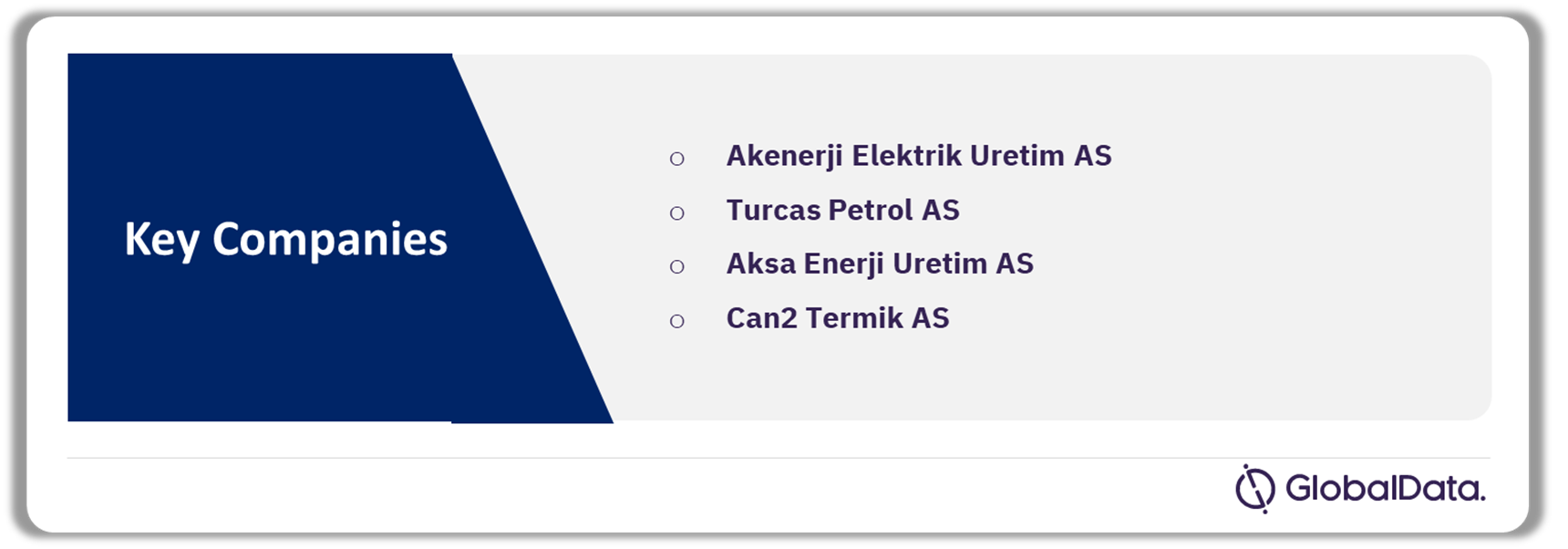 Turkey Thermal Power Market Analysis by Companies