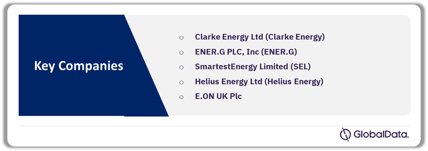 UK Biopower Market Analysis by Companies, 2023