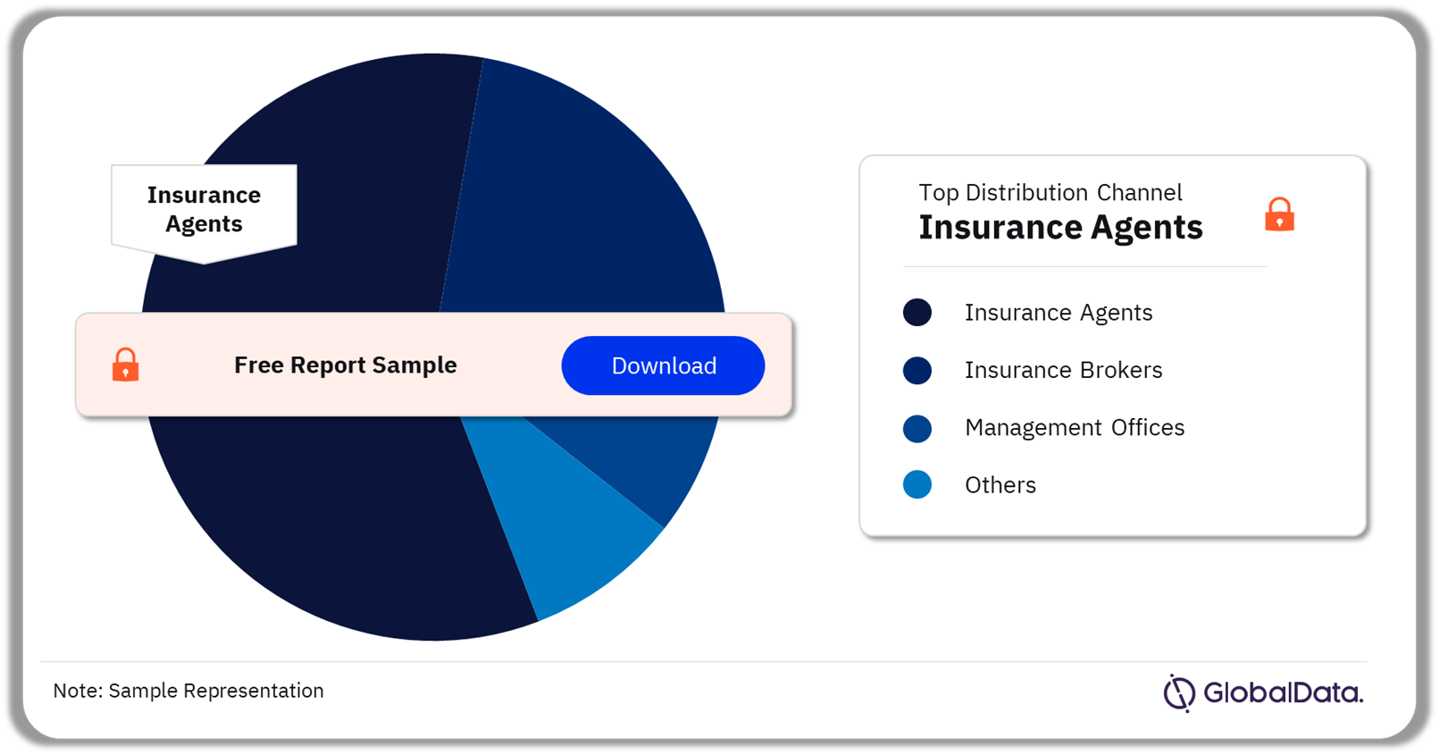 Morocco Motor General Insurance Market Analysis by Distribution Channels, 2023 (%)