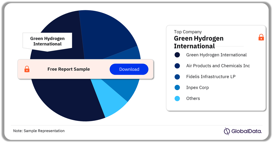 North America Hydrogen Market Analysis by Companies, 2021-2024 (%)