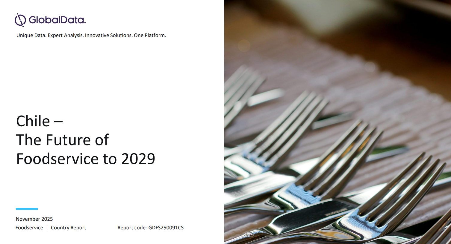 Chile: The Future of Foodservice to 2030 standard reports