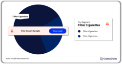 Indonesia Cigarettes Market Analysis by Segments, 2023 (%)