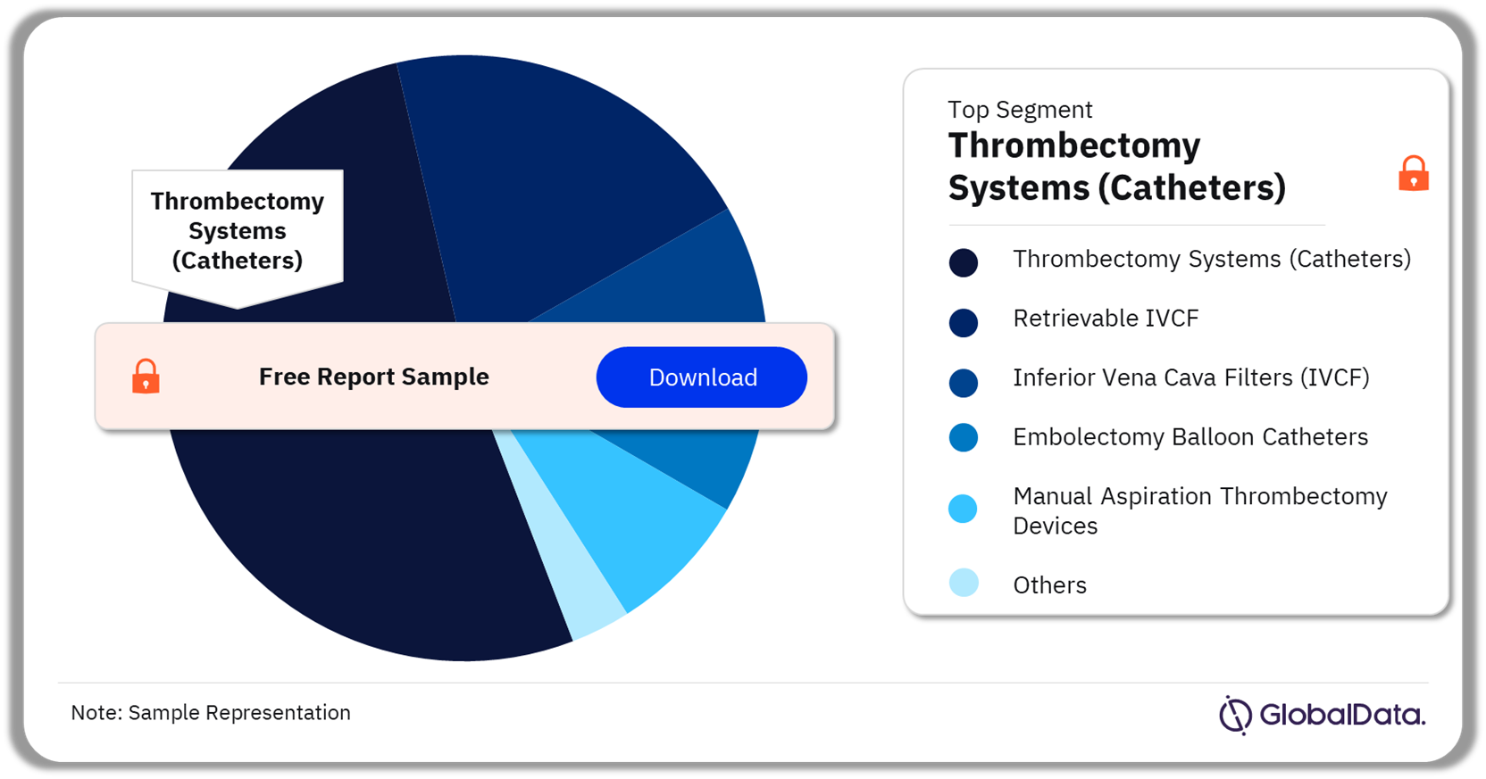 Clot Management Devices Pipeline Market Analysis by Segments, 2024 (%)
