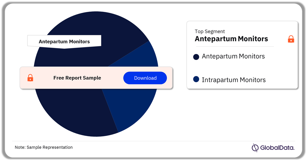 Fetal Monitors Pipeline Market Analysis by Segments, 2024 (%)