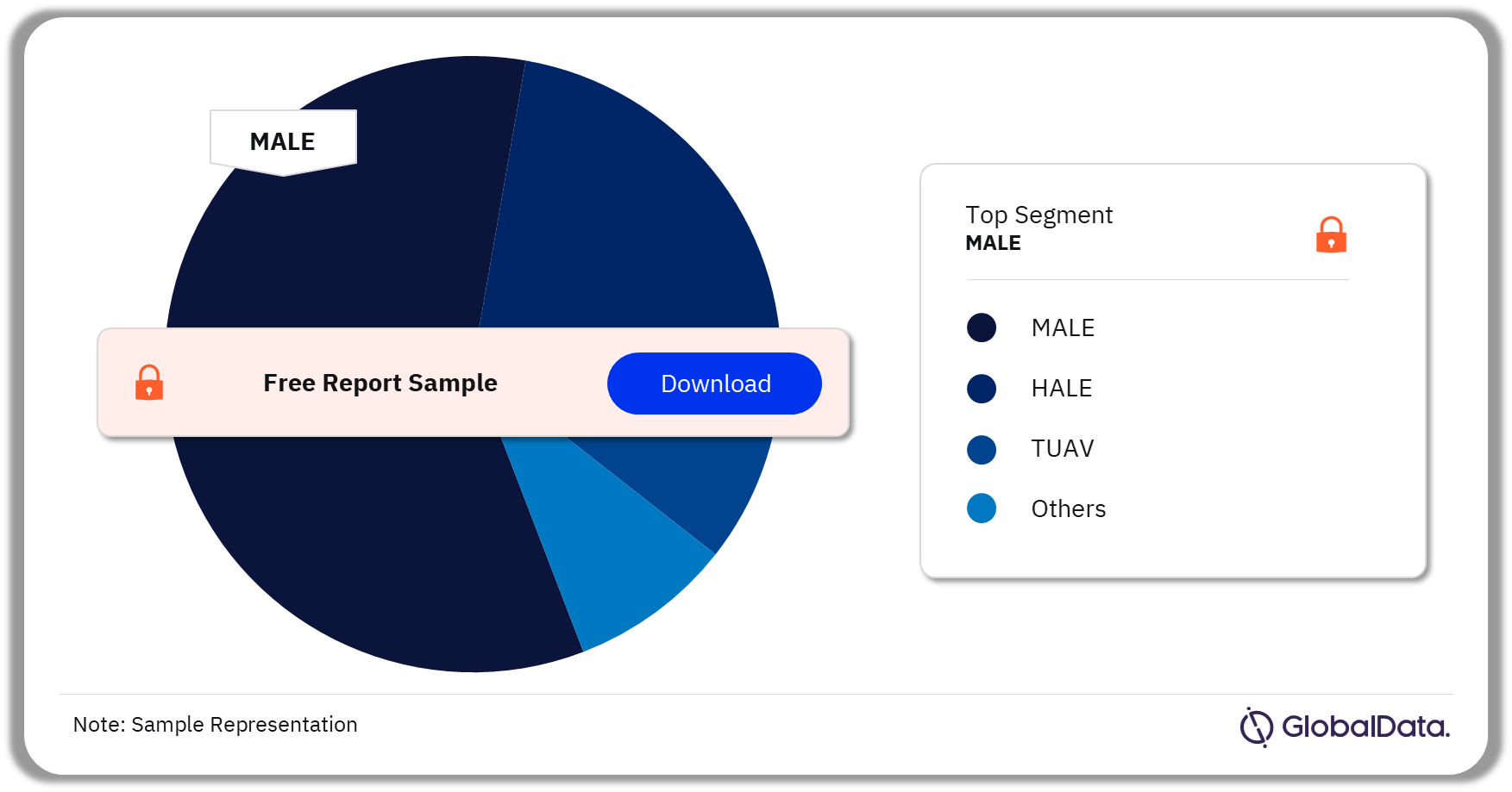 Global Military UAV Market, by Segments