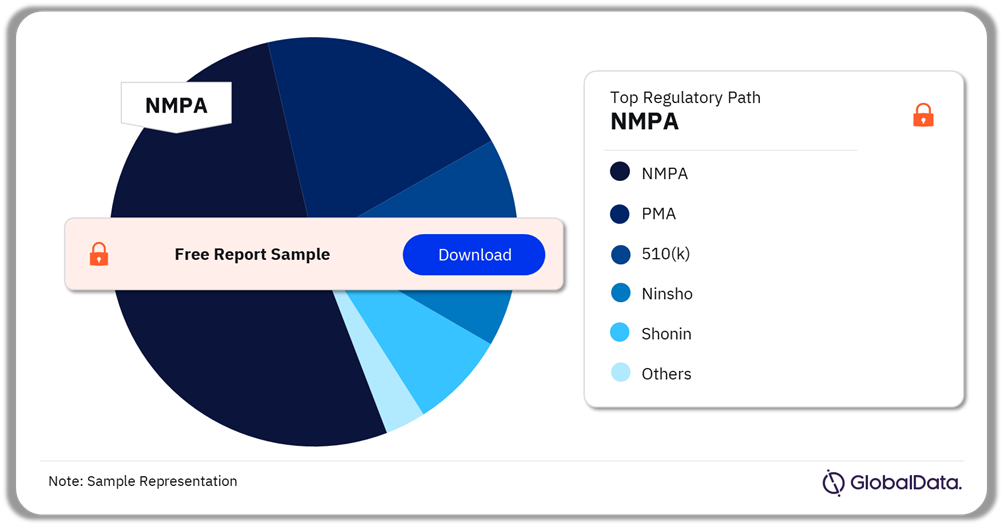 Renal Denervation Catheters Pipeline Market Analysis by Regulatory Paths, 2024 (%)