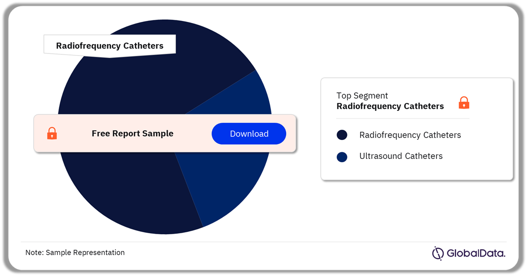 Renal Denervation Catheters Pipeline Market Analysis by Segments, 2024 (%)
