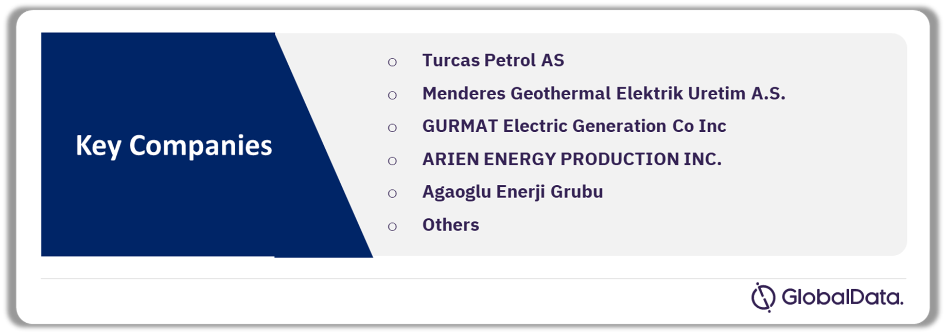 Turkey Geothermal Power Market Analysis by Companies