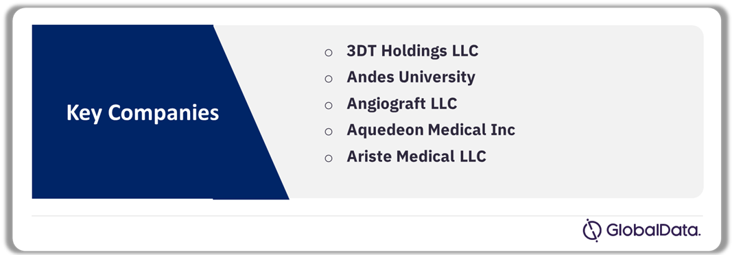 Vascular Grafts Pipeline Market Analysis by Companies, 2024