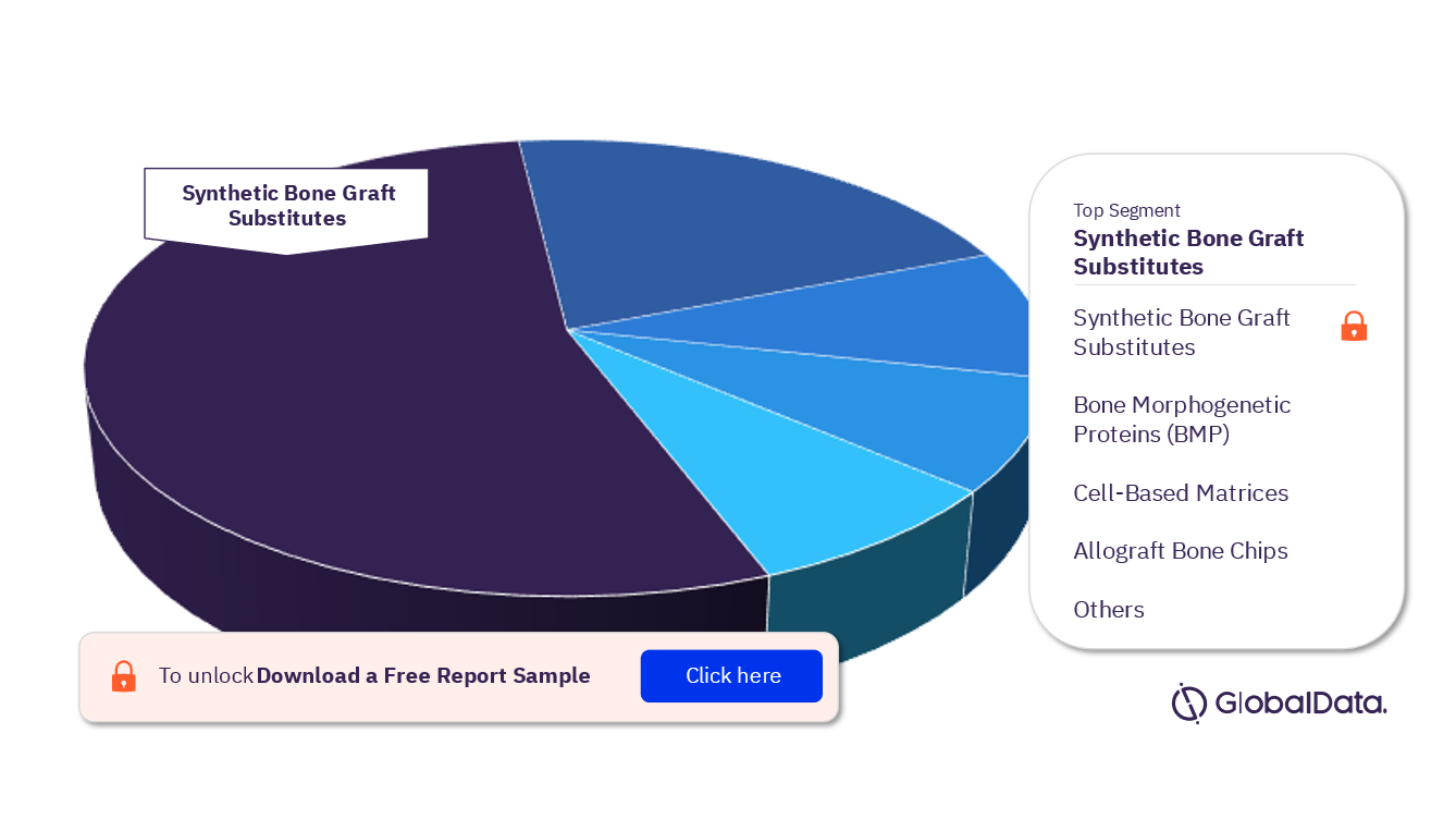 Bone Grafts and Substitutes Pipeline Market Analysis, by Segments, 2023 (%)