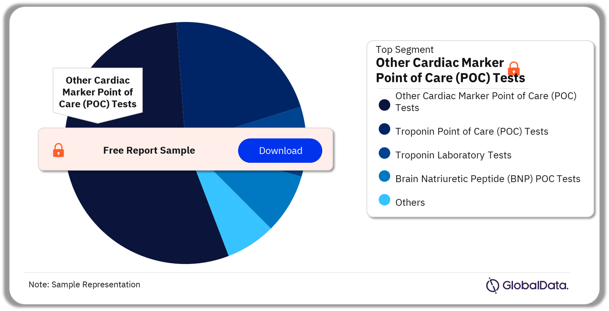 Cardiac Marker Tests Pipeline Market Analysis by Segments, 2023 (%)