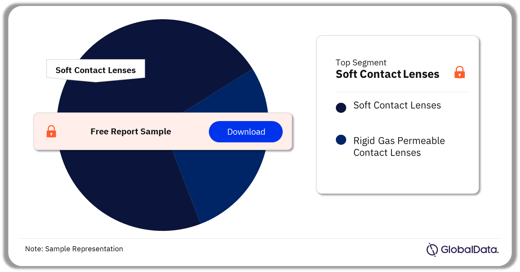 Contact Lenses Pipeline Market Analysis by Segments, 2023 (%)
