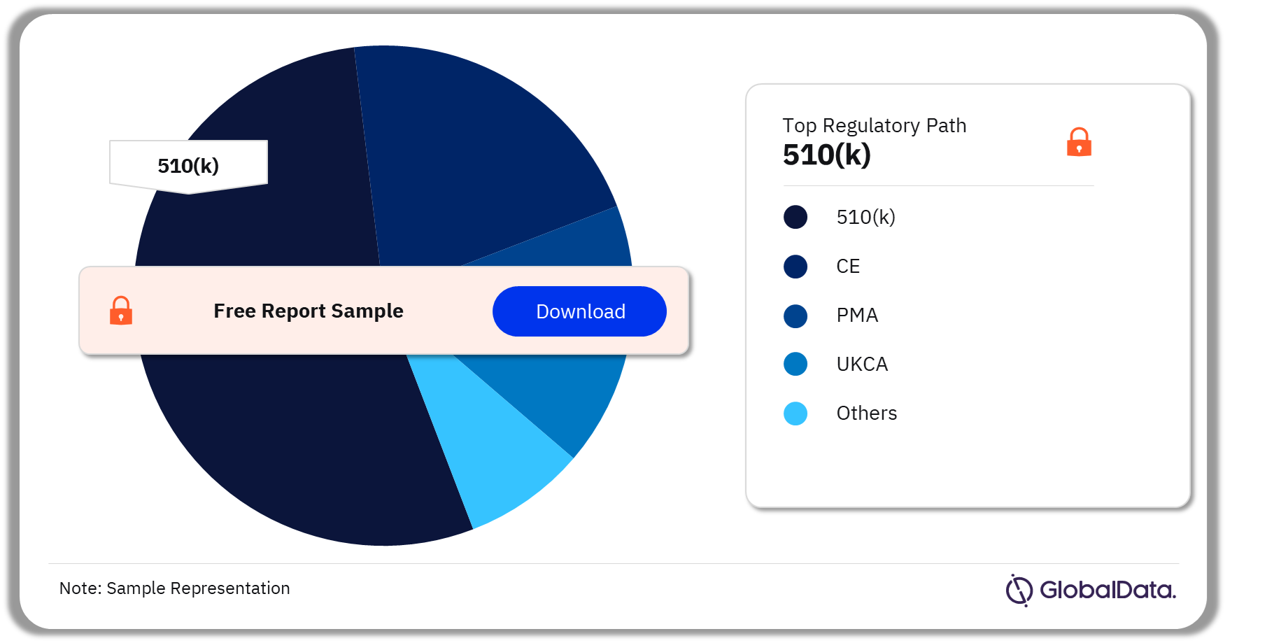 Incontinence Devices Pipeline Market Analysis by Regulatory Paths, 2024 (%)