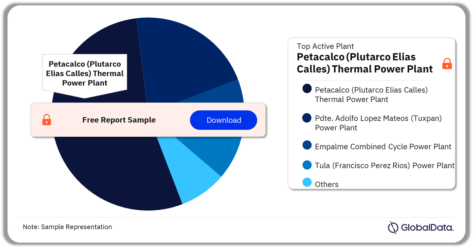 Mexico Thermal Power Market Analysis by Active Plants, 2023 (%)
