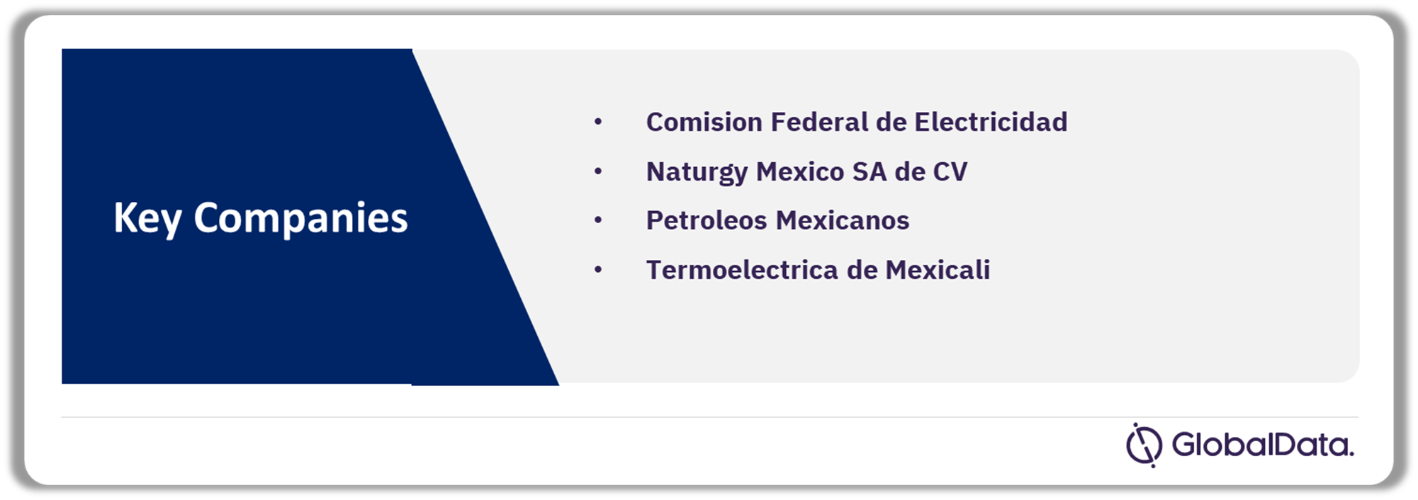 Mexico Thermal Power Market Analysis by Companies