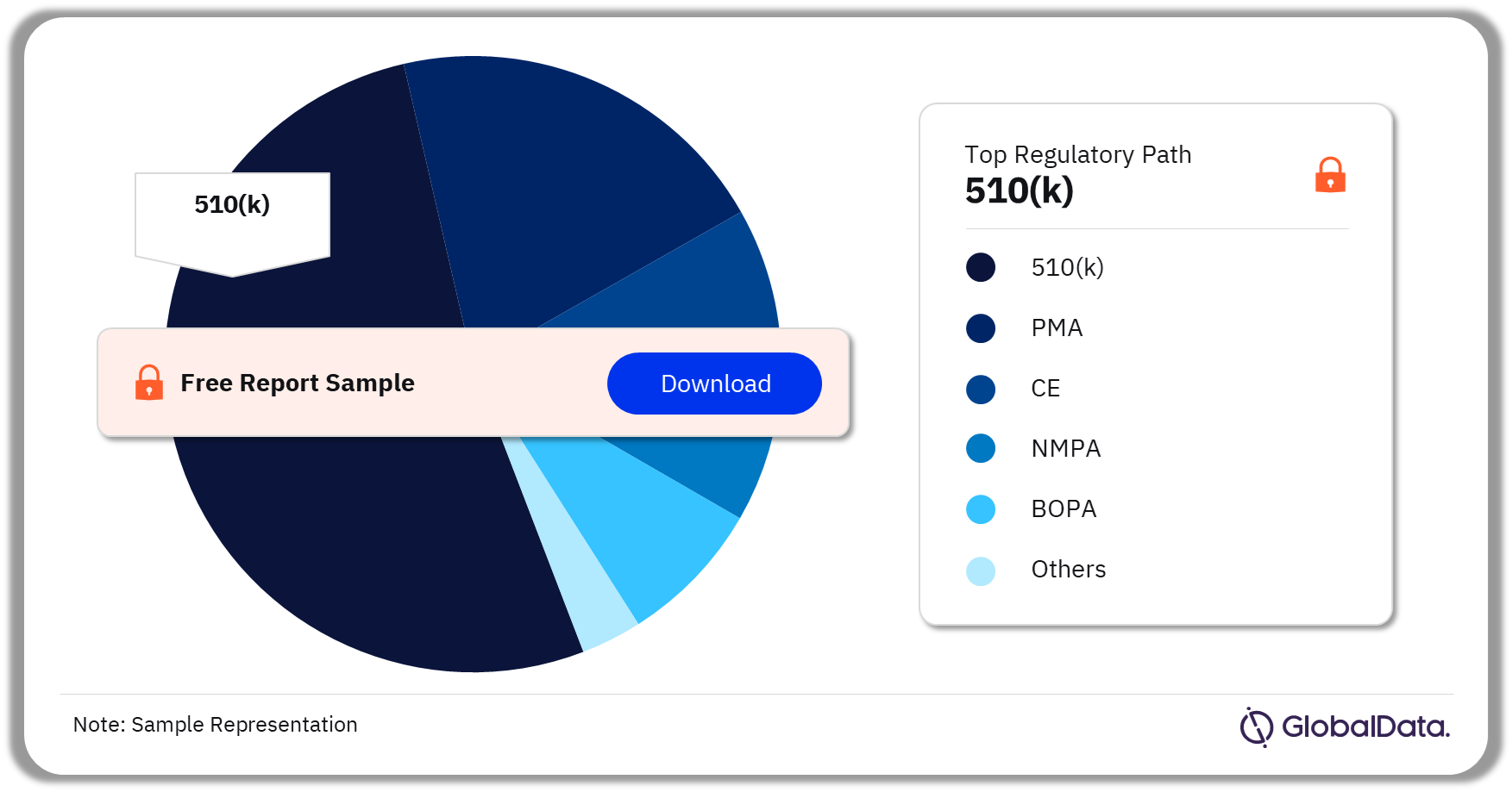 Minimal Invasive Spinal Devices Pipeline Market Analysis by Regulatory Paths, 2023 (%)