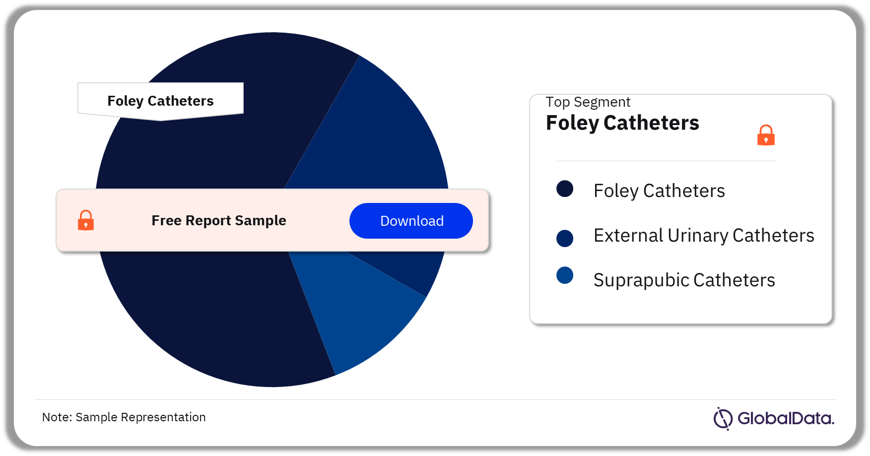 Urinary Catheters Pipeline Market Analysis by Segments, 2023 (%)