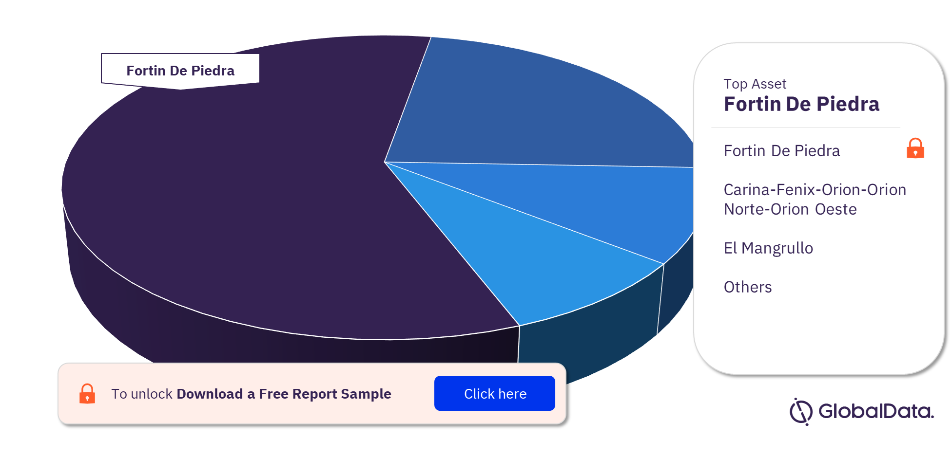 Argentina Marketed Natural Gas Production Analysis, by Assets