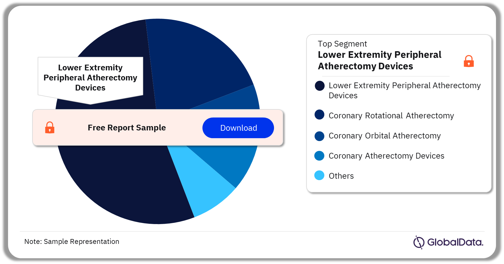 Atherectomy Devices Pipeline Market Analysis by Segments, 2023 (%)
