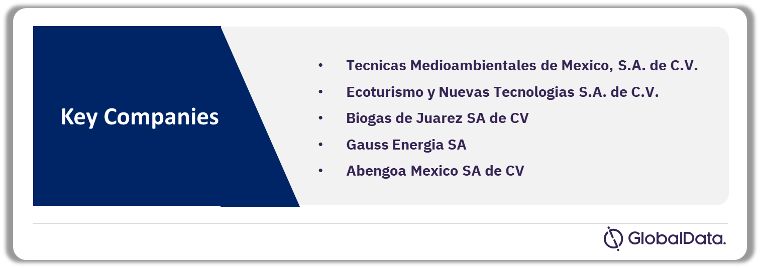 Mexico Biopower Market Analysis by Companies, 2023