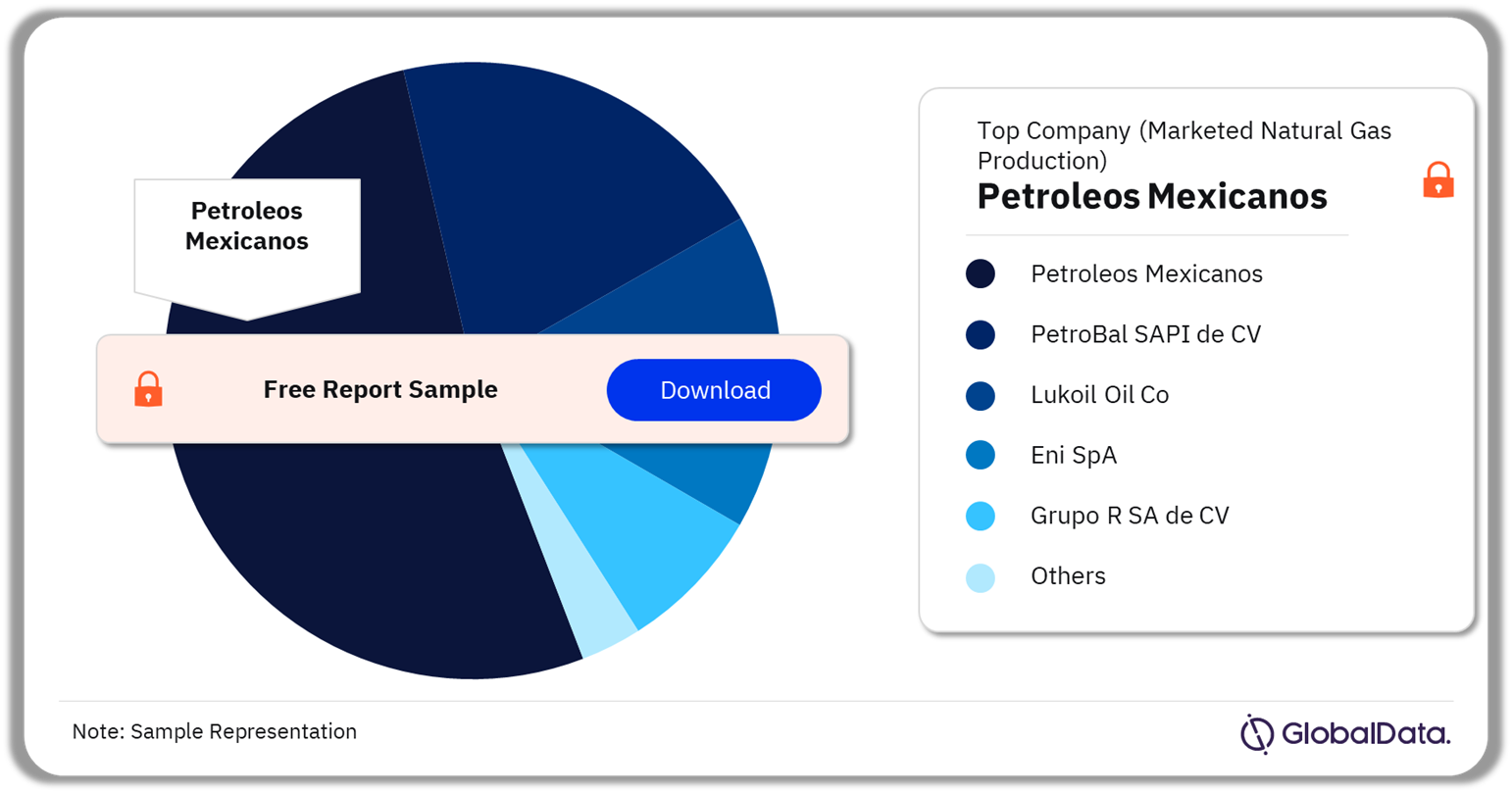 Mexico Oil and Gas E&P Analysis by Natural Gas Production Companies, 2022 (%)