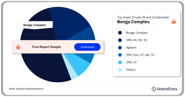 Nigeria Gross Crude Oil and Condensate Production Market Analysis by Assets, 2024 (%)