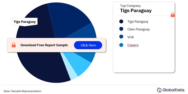 Paraguay Telecom Services Market Share by Companies, 2023 (%)