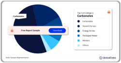 Soft Drinks Beverages Market Analysis by Sub-Categories, Q3 2024 (%)
