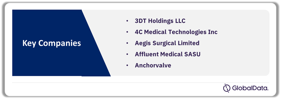 Transcatheter Heart Valves Pipeline Market Analysis by Companies, 2024