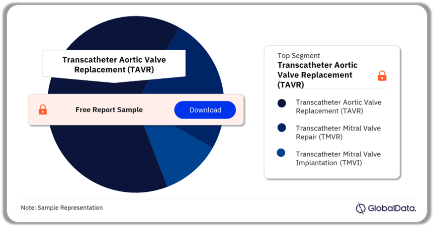 Transcatheter Heart Valves Pipeline Market Analysis by Segments, 2024 (%)