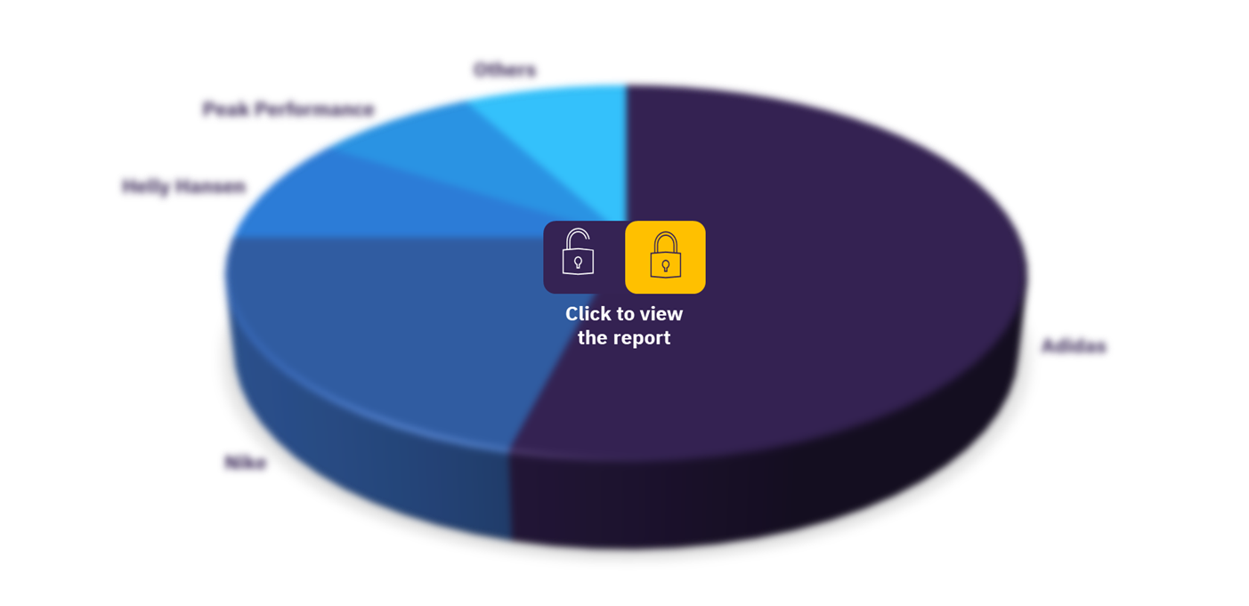 Norwegian sportswear market, by key brands