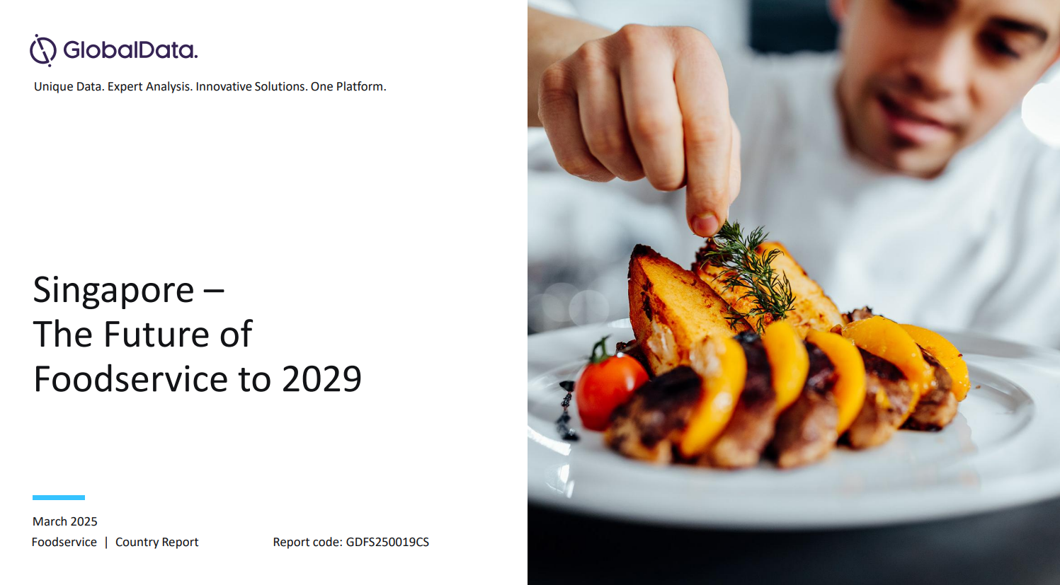 Singapore Foodservice Market Size and Trends by Profit and Cost Sector Channels, Players and Forecast to 2029 standard reports