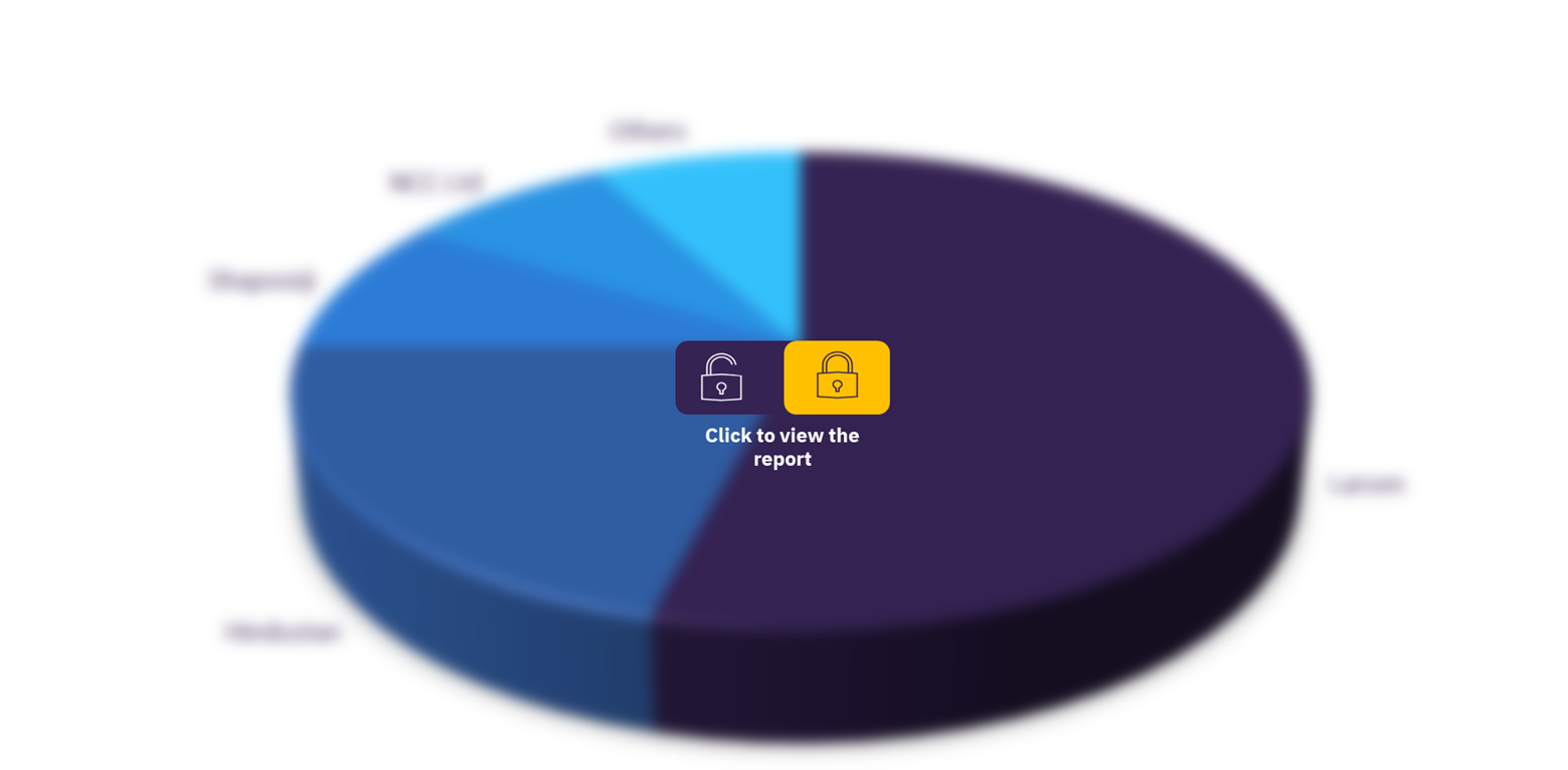 South African sportswear market, by key brands
