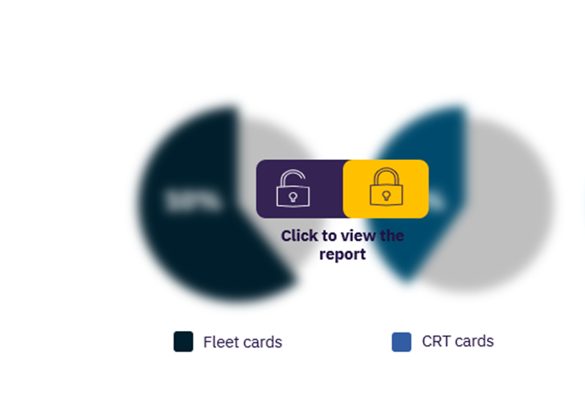 The US fuel cards market, by channel